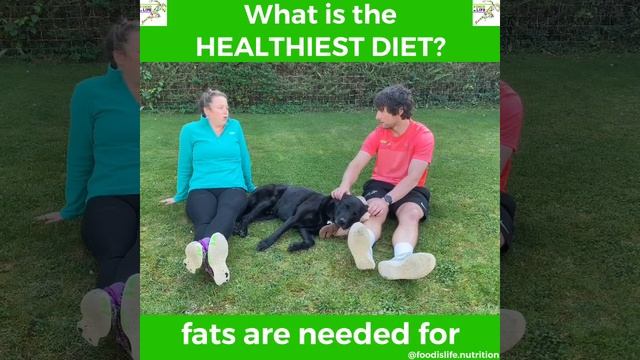What is The Healthiest Diet?