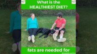 What is The Healthiest Diet?