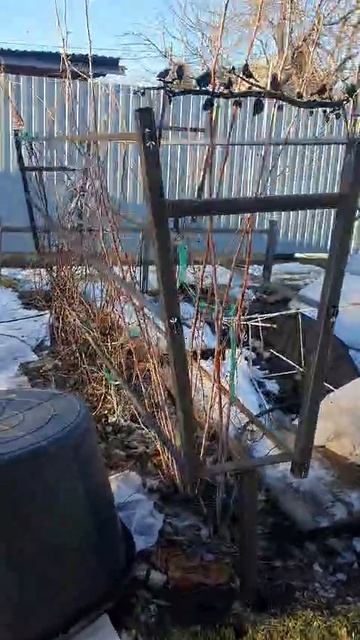 стойка для малины своими руками.сварка