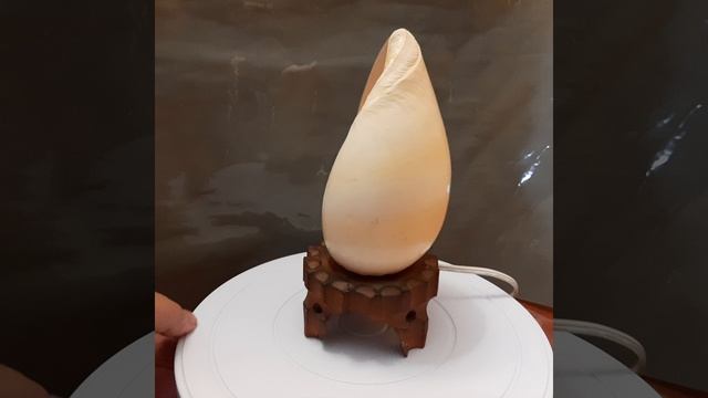 Настольная лампа из морской ракушки.Куплена на Крите