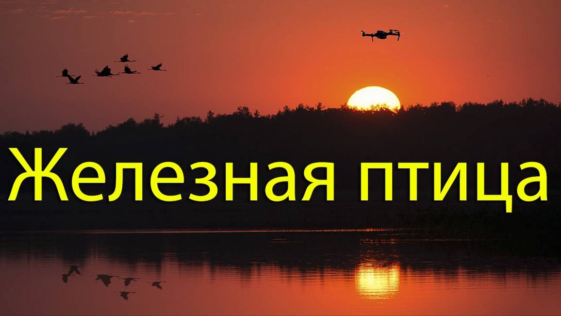 Железная птица