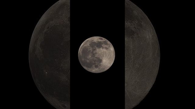 Nasheed 61