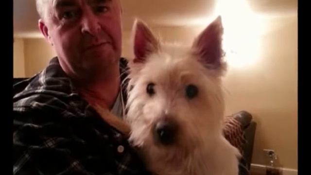 Radar dog rescue - Happiness is just one bark away