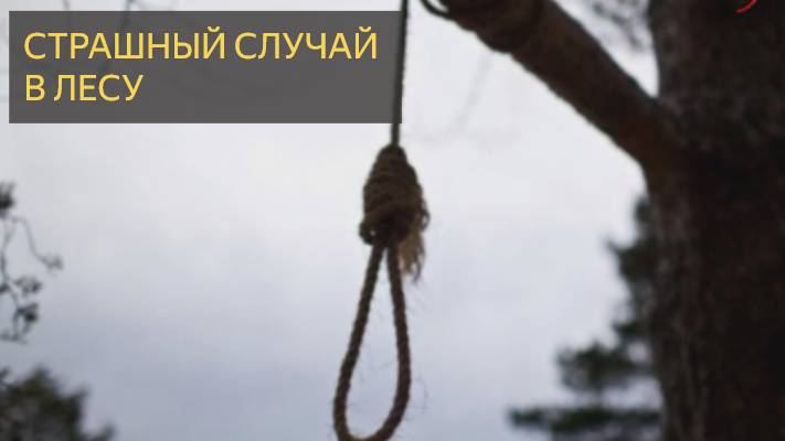 Страшный случай в лесу (Мистическая история)