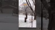 _belochka_yapfiles.ru