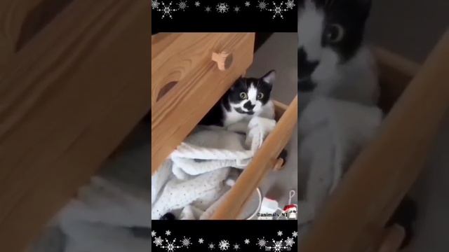 1000008216.mp4