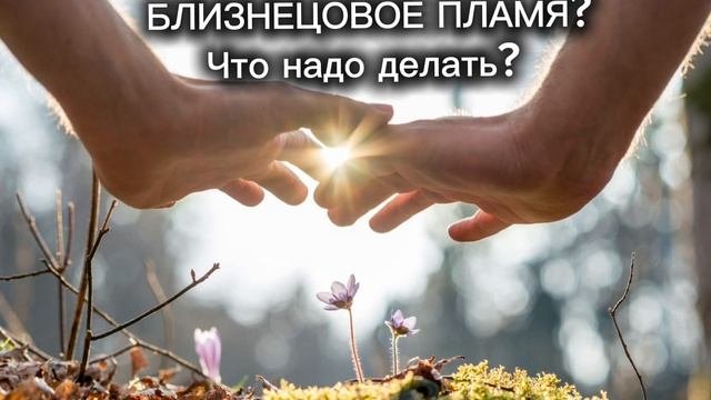 Как встретить свое близнецовое пламя? Как стать счастливым? #близнецовые пламена #бп