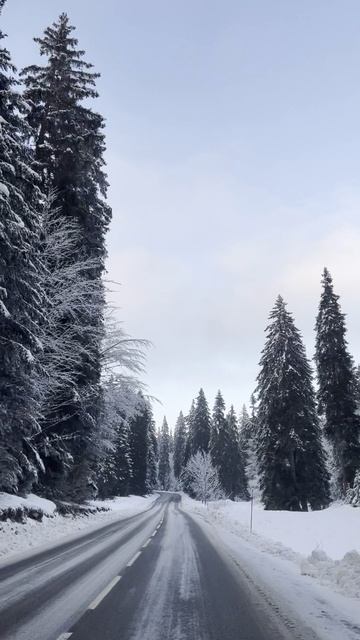 12821524_1080_1920_60fps