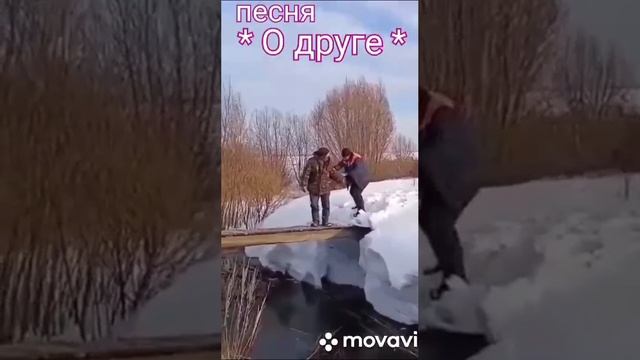 Друг в беде не бросит.
