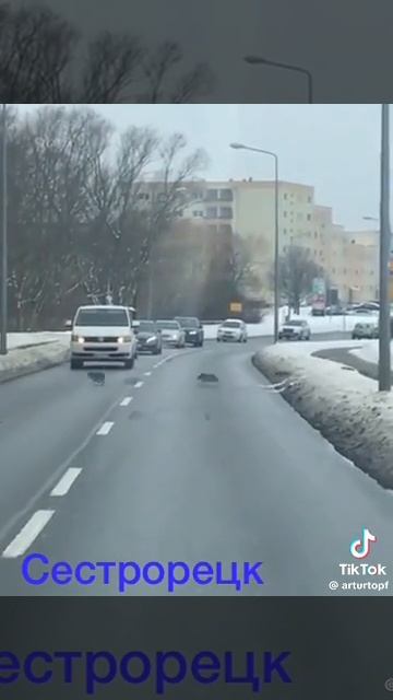 1000029570.mp4