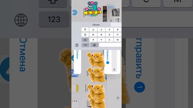 Ошибка Telegram iOS 17.4 apple