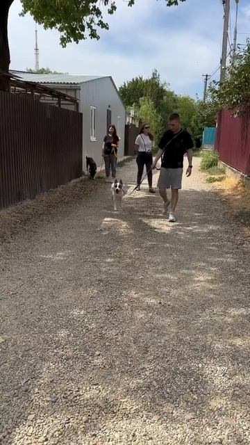 Завод тротуарной плитки Пропресс