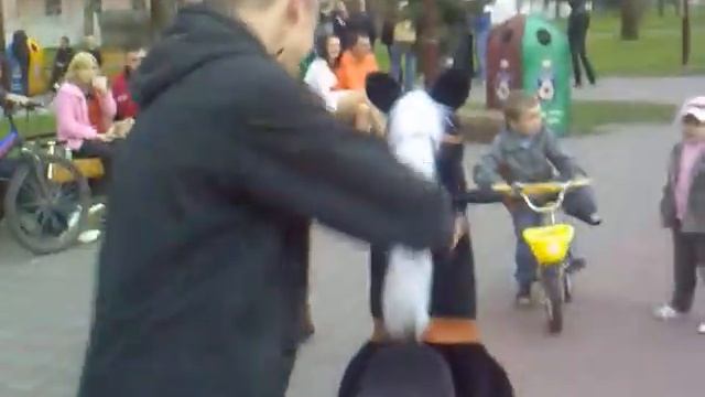 катание на лошадках