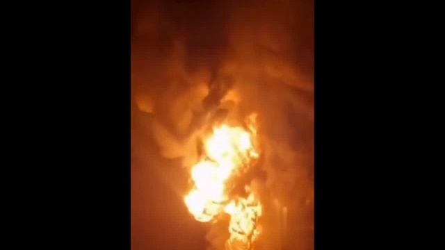Одесса 20 01 25_ Порт Измаил посетили Гераньки