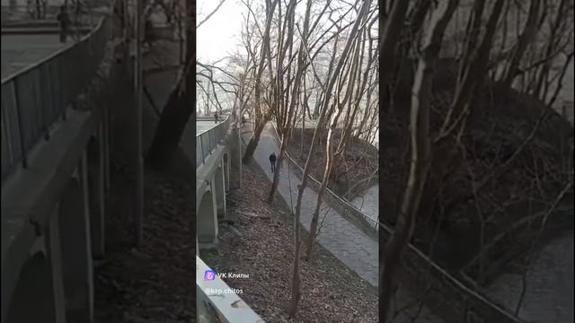 Светлогорск
