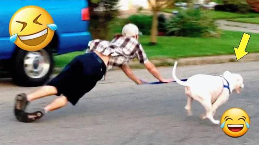 Новая Подборка смешных видео на канале🤣 "Веселые розыгрыши"🤣