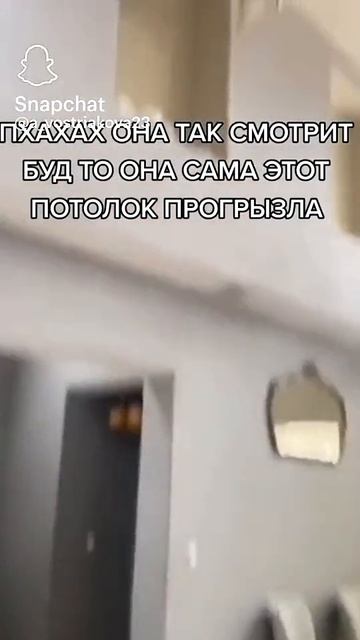 1000013484.mp4