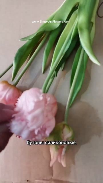 Тюльпаны 🌷