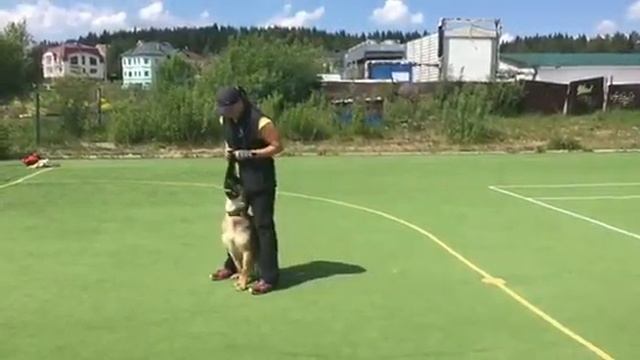 ⚡️МАКСИМУМ⚡️ 100% послушания!