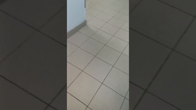 video5199834179902139890