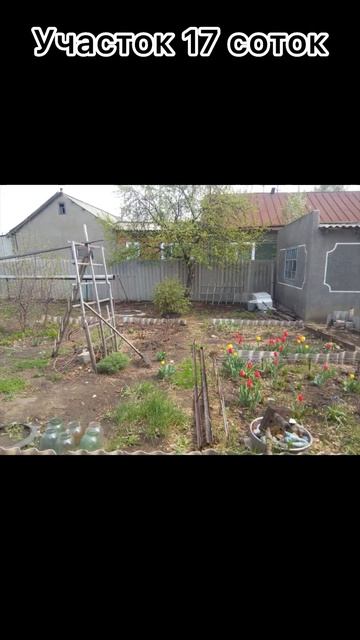 Дом 105 мкв, участок 17 соток. Алтайский край село Полевое 68 км от г. Славгород. 750тр