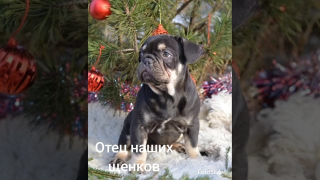 1000199355.mp4