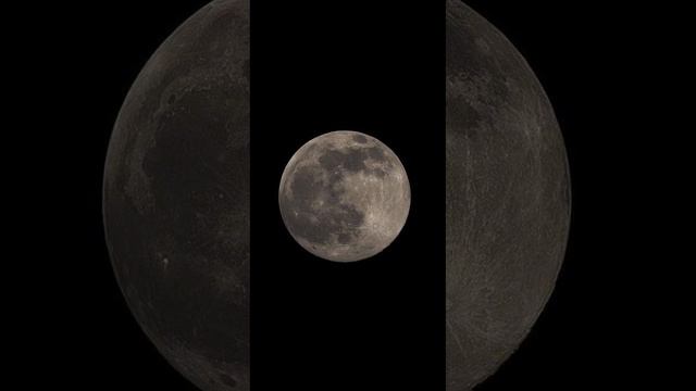 Nasheed19