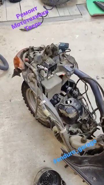 honda птицы свили гнездо  #enduro_garage