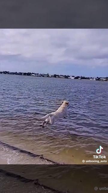 1000029567.mp4