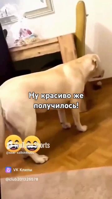Не обижайся!