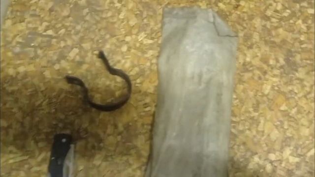 Утро начинается не с кофе
