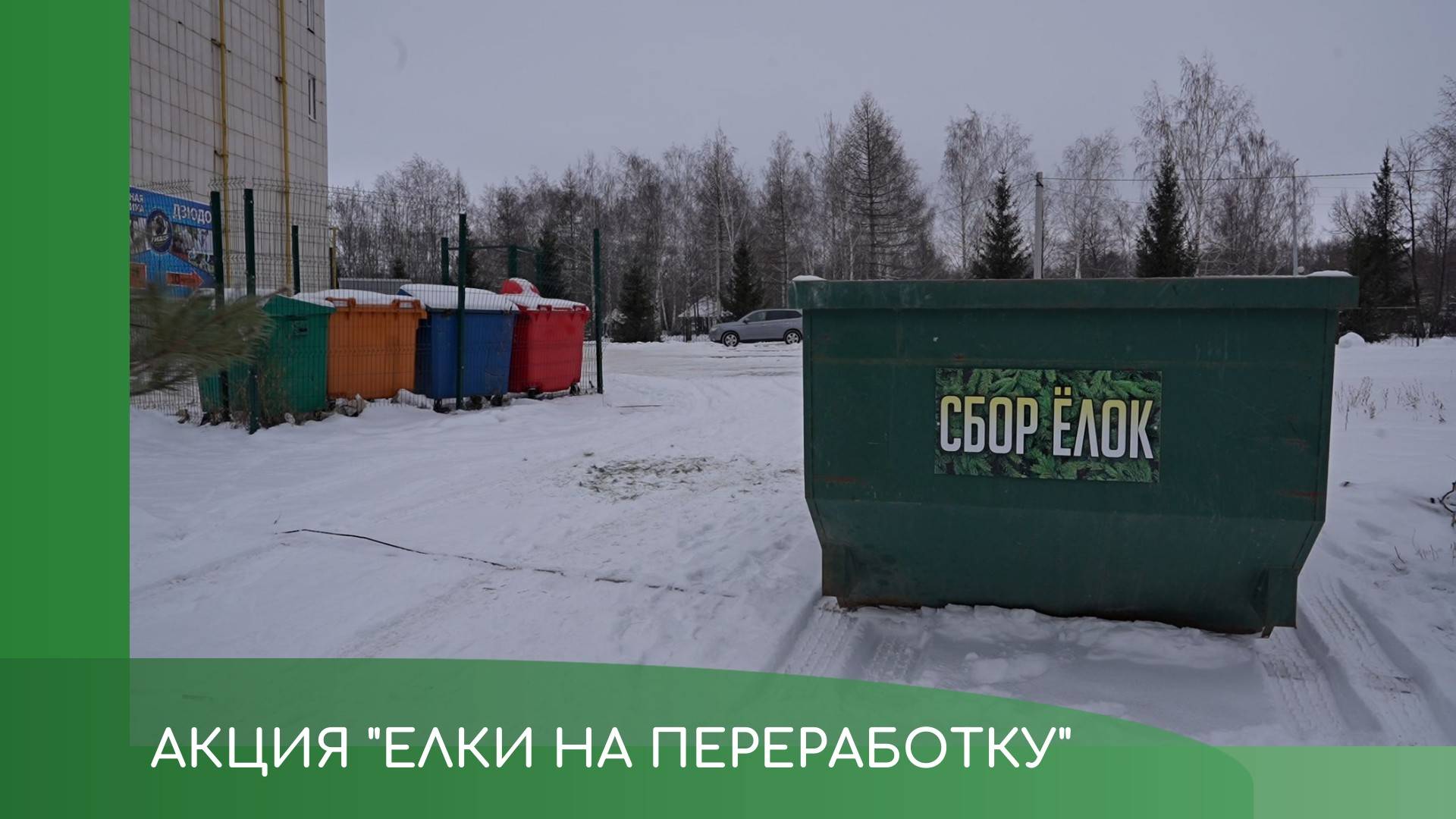Акция "Елки на переработку"