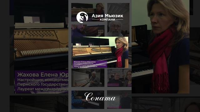 Отзывы на фортепиано "Соната"