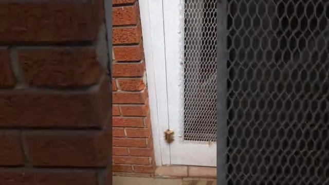 trim 05C626F4 23D2 40D8 BF1A 3FF91A8DC01C