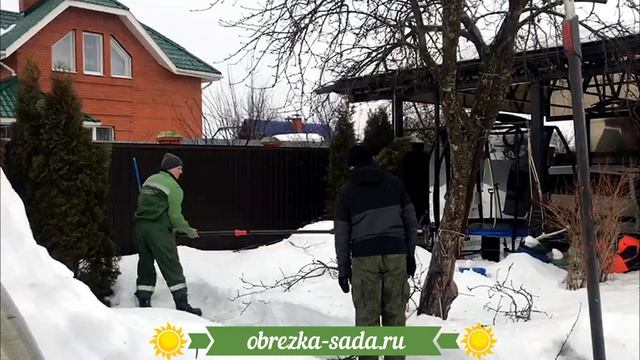 Сезон весенней обрезки плодовых деревьев на дачных участках открыт!