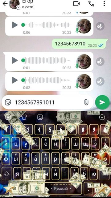 SVID_20250117_202334_1.mp4