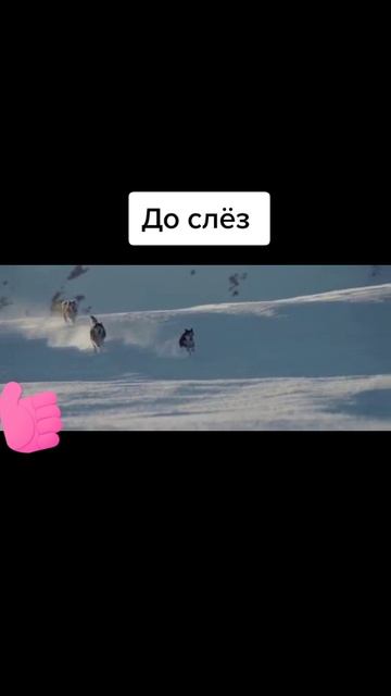 Момент из фильма, момент из сериала, фильм, сериал