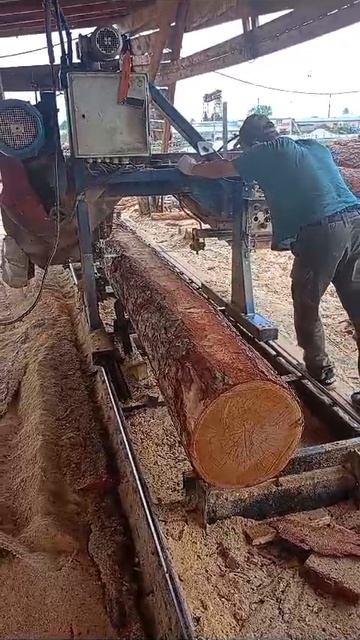 VID-20240605-WA0002.mp4
