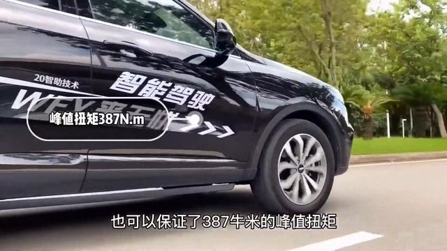 以为自主品牌机械薄弱？WEY VV6来打脸