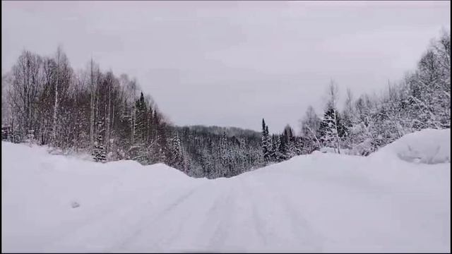 Горная Шория, я люблю тебя!