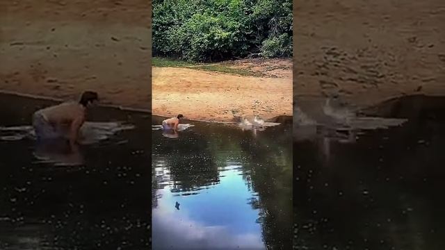 Кто из них хищник ?