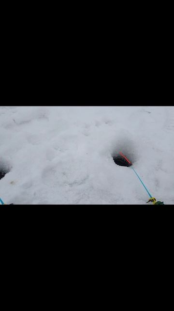 рыбалка