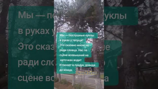 Омар Хайям