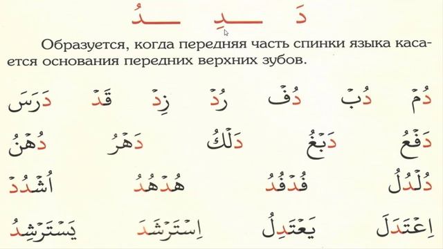 Практический курс АЯ3(3242)