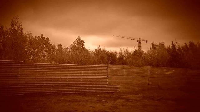 Дневники Энея - Роза