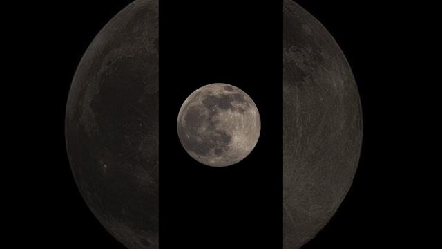 Nasheed39