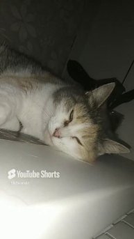 Настроение такое.mp4