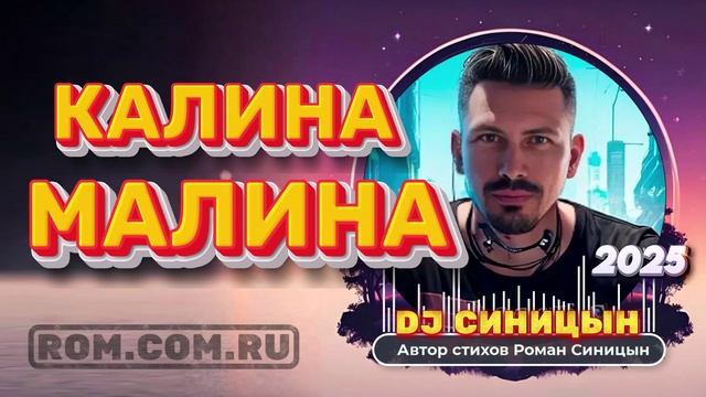 DJ СИНИЦЫН CLUB MIX 2025 - КАЛИНА МАЛИНА