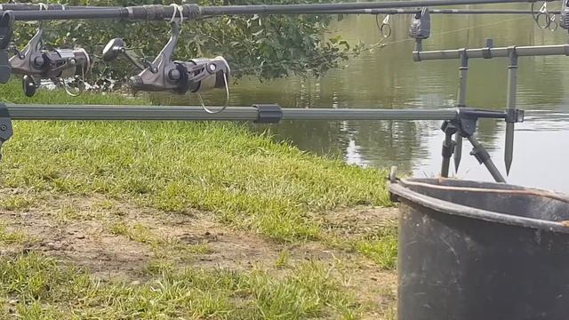 CarpRun 2018 #2