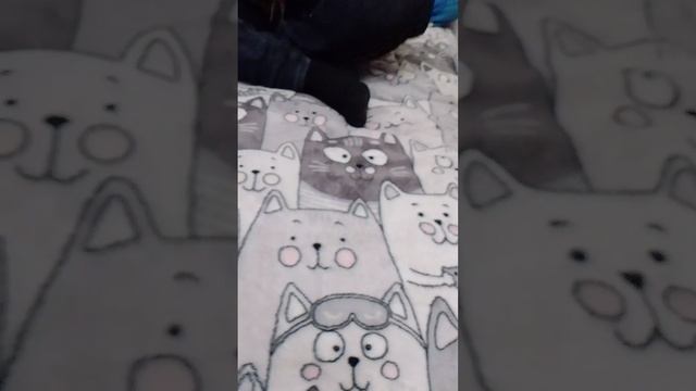 играем в  уно